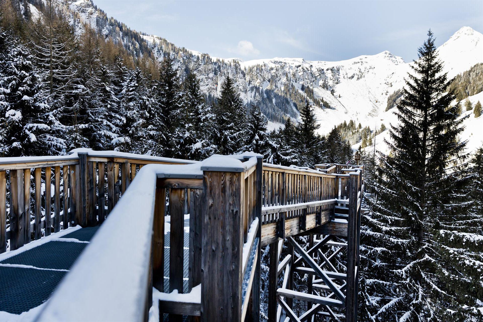 Baumzipfelweg Winter